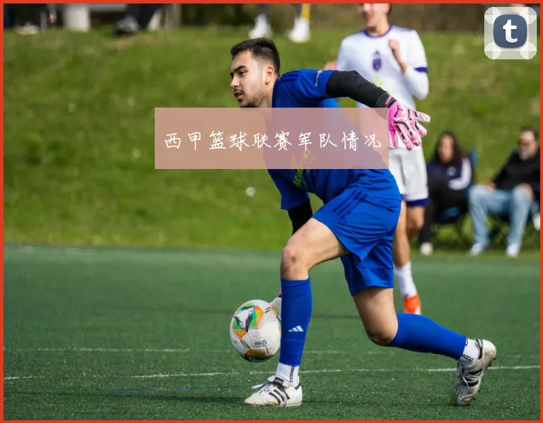 西甲篮球联赛军队情况