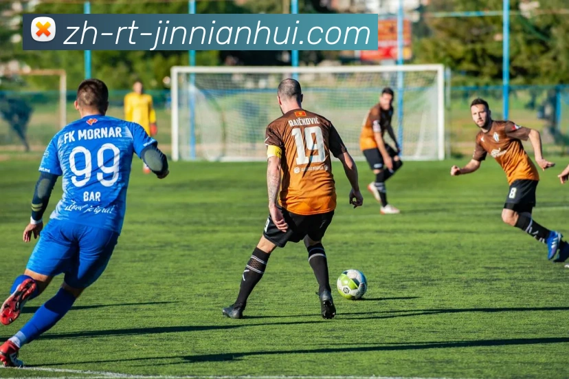 金年会体育平台生态图